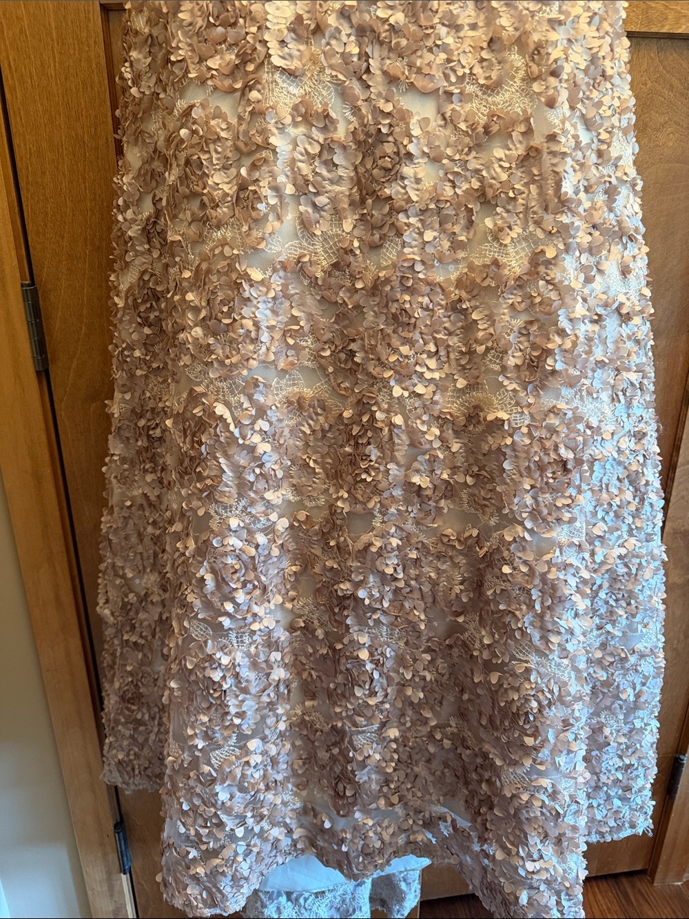 Beautiful Appliqué Floral V-Neck A-Line Wedding Dress in Cream Champaign size 4 - Picture 4 of 10